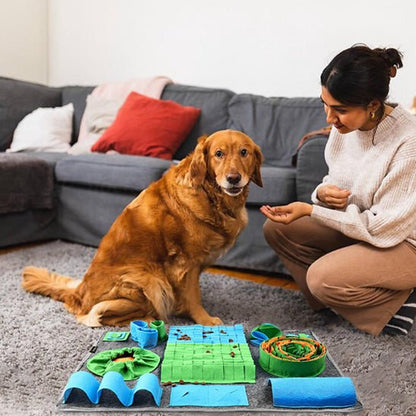 Golden retriever avec son maitre et leur tapis de fouille chien