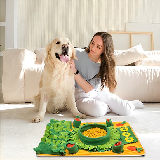 golden retriever et son maitre dans leur salon avec leur tapis de fouille chien