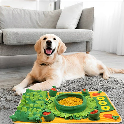 Golden retriever coucher devant son tapis de fouille chien