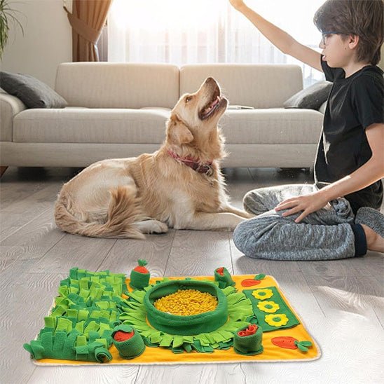 jeune garçon et son golden retriever qui joue avec leu tapis de fouille chien
