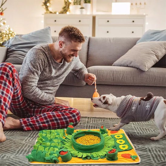 Chien de petite taille jouant avec un tapis de fouille chien éducatif