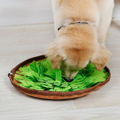 Golden Retriever cherchant des friandises sur un tapis de fouille chien vert